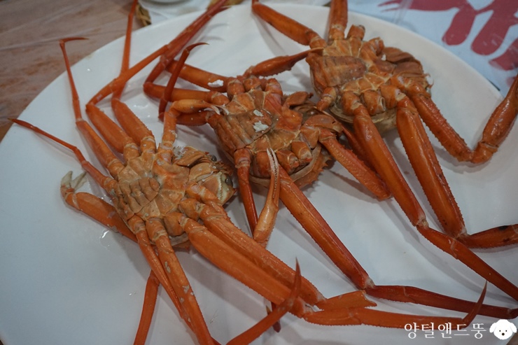  광주 무한리필, 문흥동 맛집! 문흥동 미스터홍게에서 홍게, 대하 무한리필 먹방후기!
