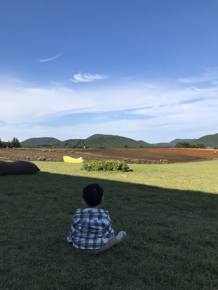  가을의 제주 1