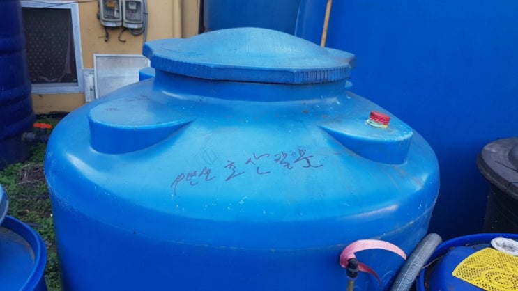  칼슘제(인산칼슘, 초산칼슘, 염화칼슘) 살포