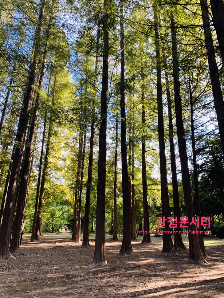  경주여행 경상북도산림환경연구원 후기!