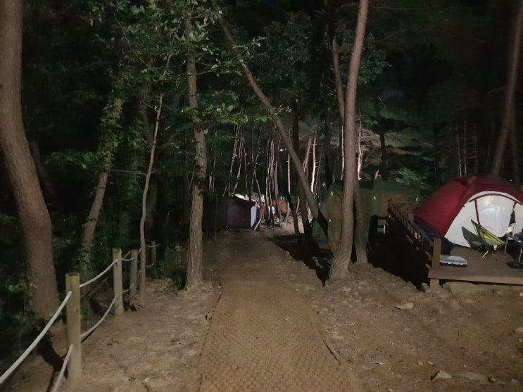  자전거캠핑-송정자연휴양림