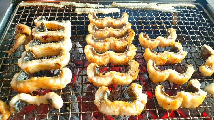  평택 장어 맛집 진위 가성비 좋은 하늘풍천민물장어