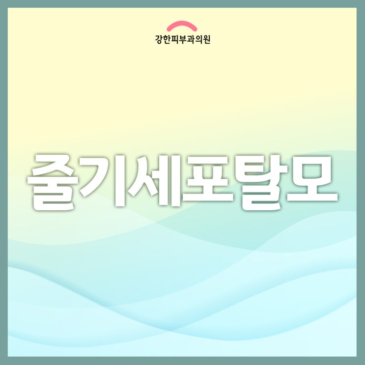  줄기세포로 탈모치료 가능할까?
