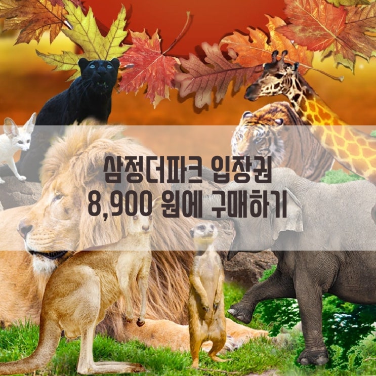  부산 삼정더파크 입장권 할인받아 8900원에 구매하기