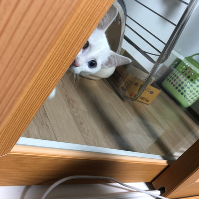  2019.10.05~10.11 일상