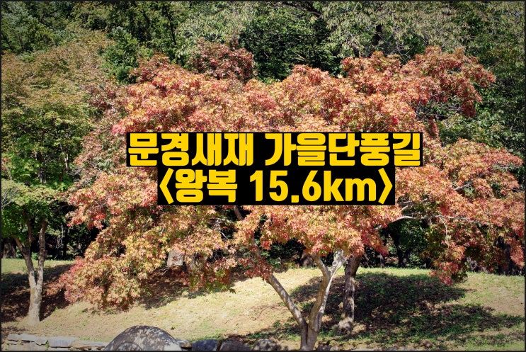  걷기좋은길 문경새재 과거길 따라 가을단풍길 왕복걷기(15.6km)