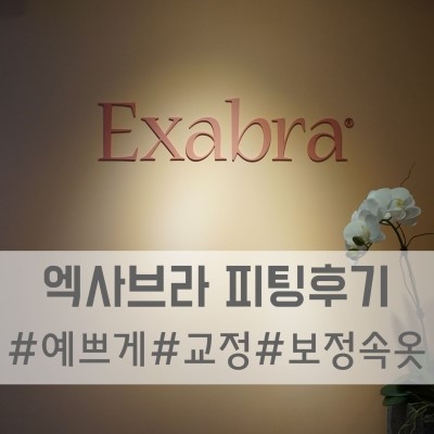  엑사브라 강남본점 피팅후기 :-) #부유방 #보정속옷
