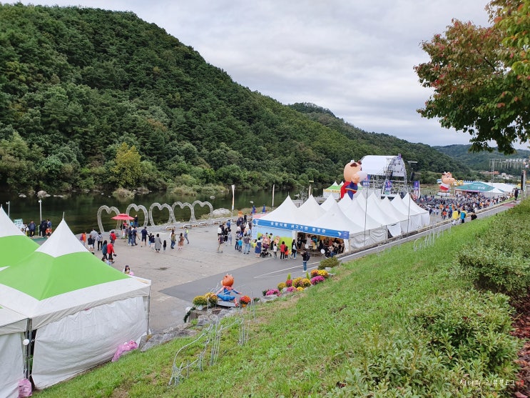  원주여행과 횡성한우축제에서 볼거리, 먹거리 즐기기