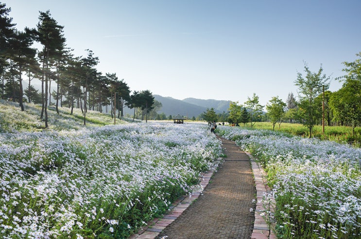 리코 GR2와 함께 한 오늘