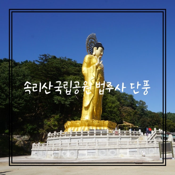  대전근교단풍놀이 가기좋은 보은 속리산 법주사