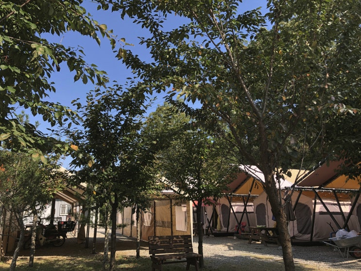  서울 북한산 캠핑으로 가을여행 다녀온 주말