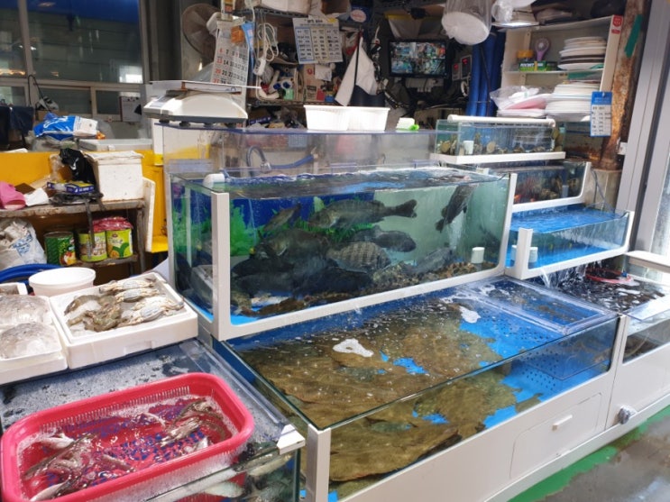  궁평항