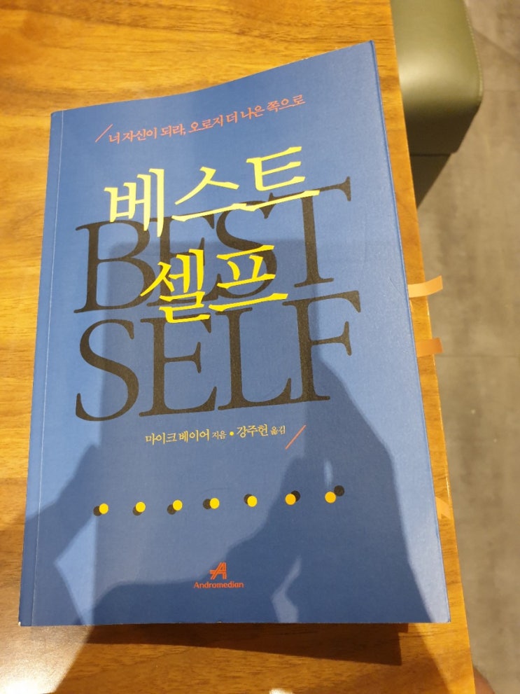  베스트 셀프 서평, 씽큐on 미션도서 여러분의 최고의 자아는 어떤 모습인가요?