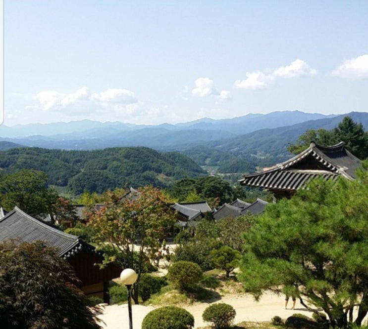  영주 부석사 은행나무 단풍