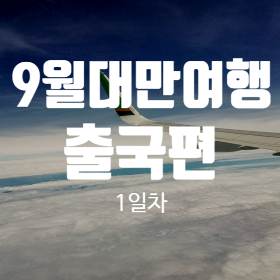  대만 가족여행. 환장의 환갑여행 출국편 (에바항공 항공권 이름 변경)