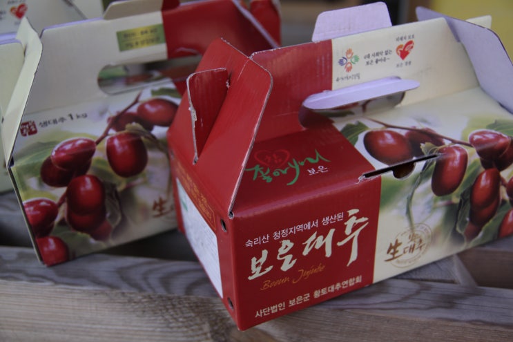  보은 대추 축제 나들이, 정이품송 찍고 말티재까지.