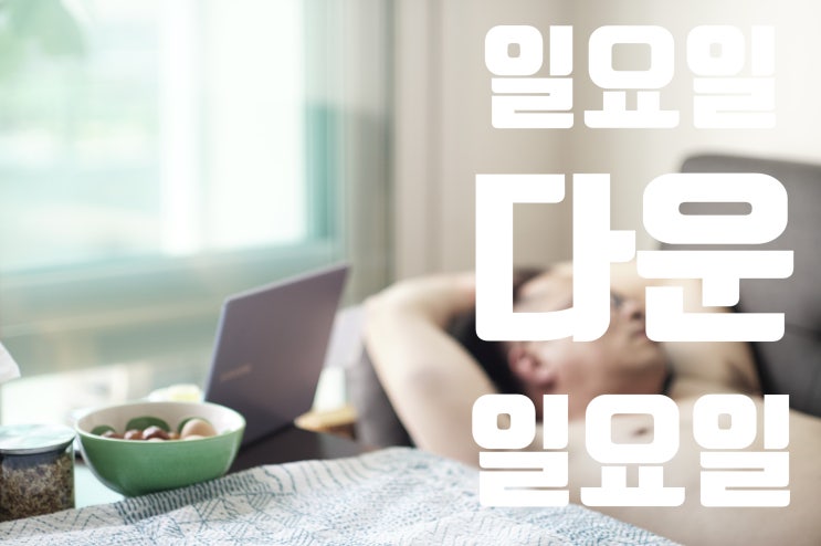  일요일 다운 일요일-선릉모던바 호에서 적정음주,햇살에수면인형건조
