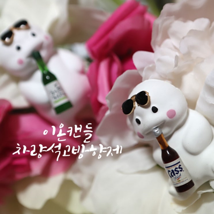  차량석고방향제 이온캔들 지방이석고방향제 귀여워