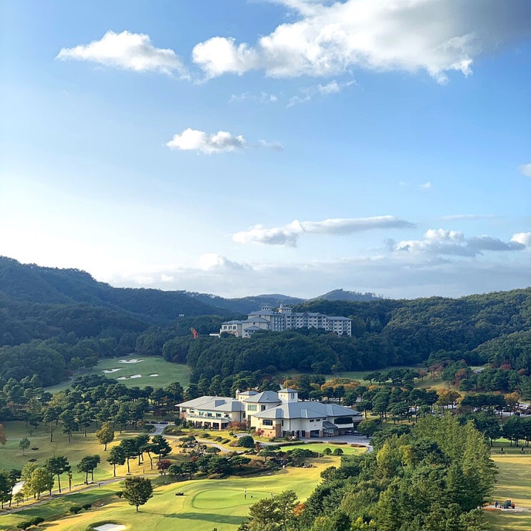 [원주 여행/원주 가볼만한 곳] 소금산 출렁다리, 오크밸리 리조트 , 목향