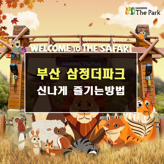  부산 삼정더파크 동물원 사파리투어 어때요.