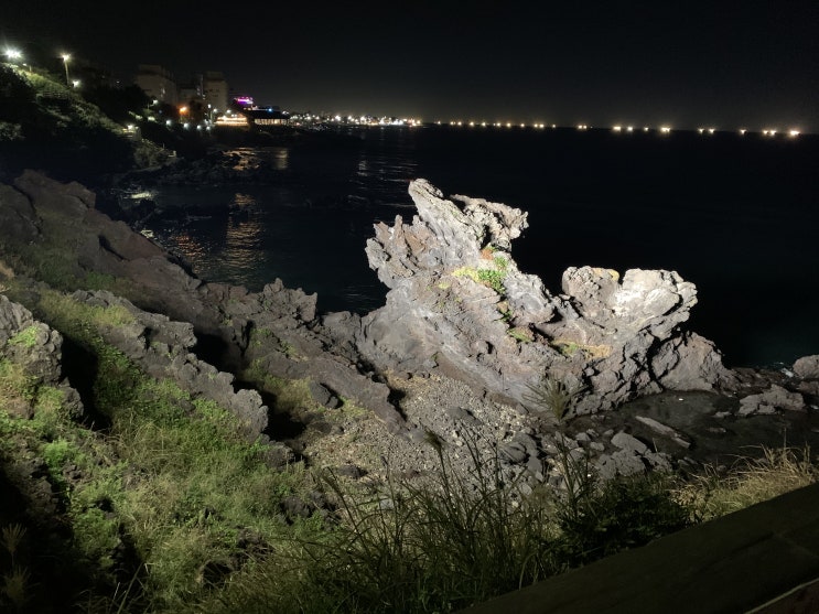  [제주도-아빠랑 딸] 첫째날 - 밤비행기,흑돼지김치찌개,미르게스트하우스,용연구름다리,용두암
