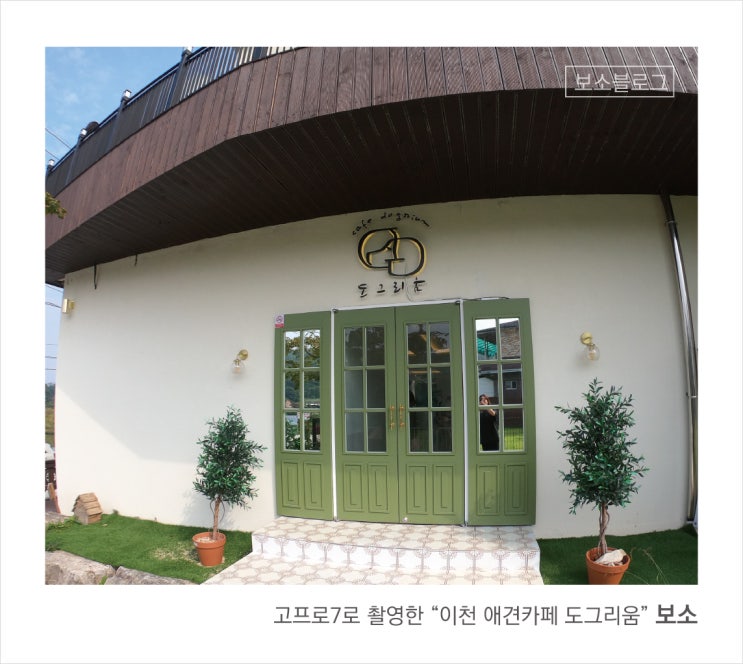  [이천 애견카페 도그리움] 힐링 그 자체 "도그리움"에서 주말 나들이 (고프로 7로 촬영)