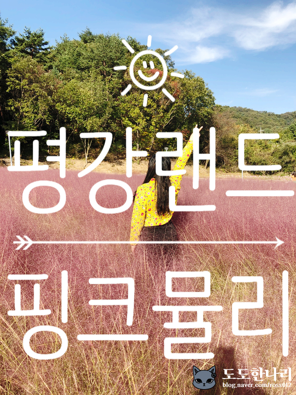  포천가볼만한곳 @ 평강랜드 핑크뮬리