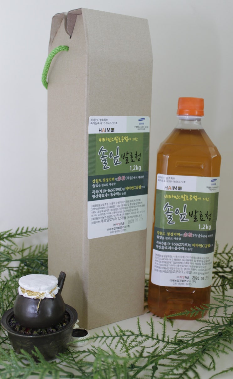  간절기에 마셔주면 좋은 발효효소 '발효나라하임 솔잎발효청'