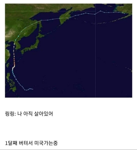  링링이 다시 검색어에 등장하는이유는?