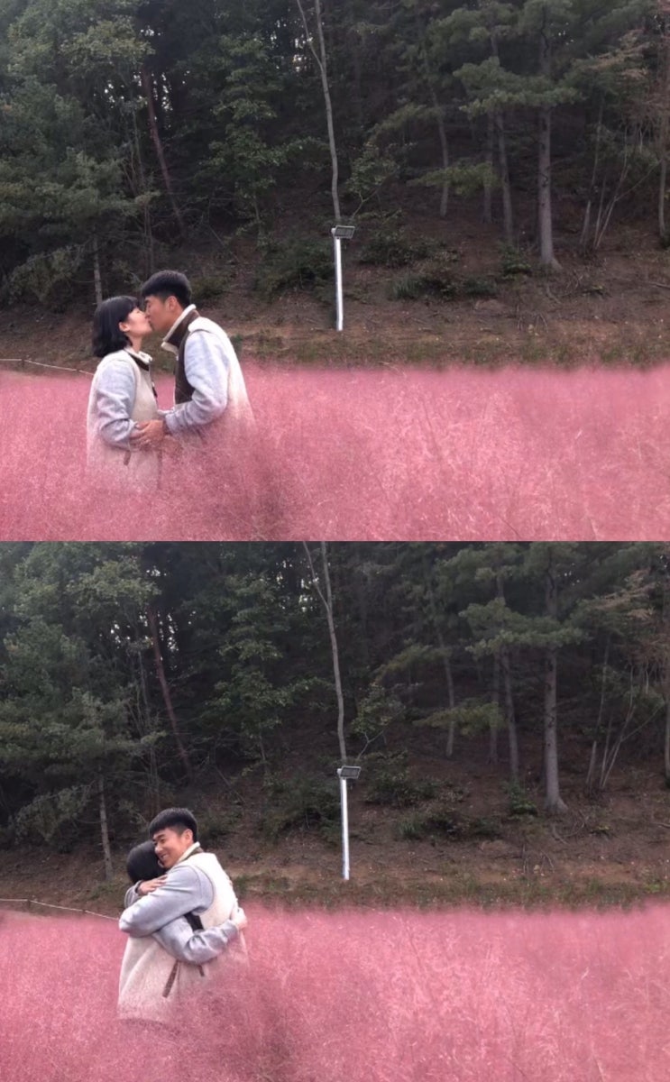  데이트로그[포천 평강랜드 핑크뮬리]