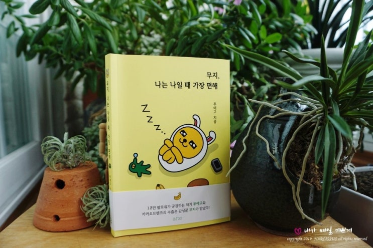  카카오프렌즈&ARTE, 무지, 나는 나일 때 가장 편해 (서평2019_70)