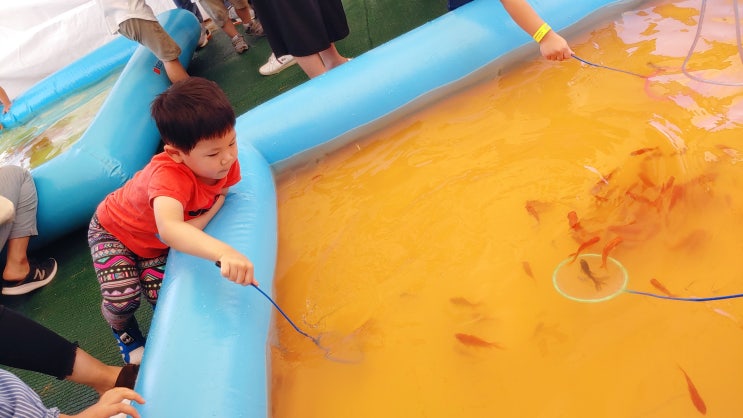  5살 아이 낚시 붕어 잡기
