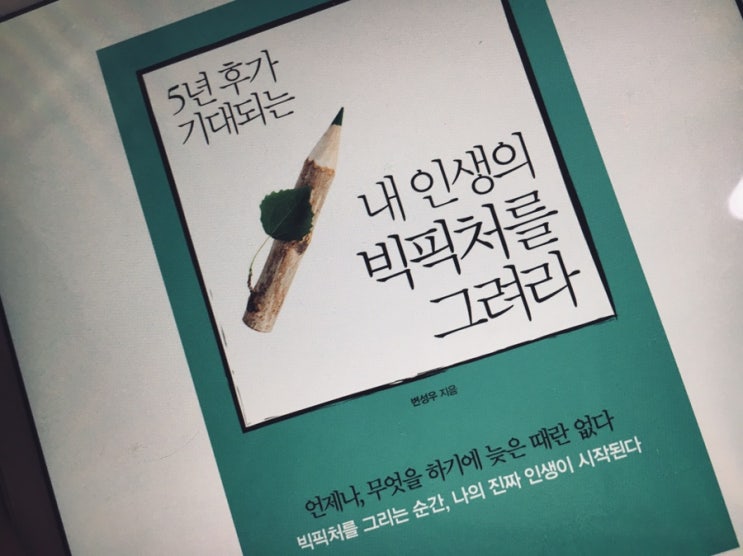 5년 후가 기대되는 내 인생의 빅픽처를 그려라 - 변성우