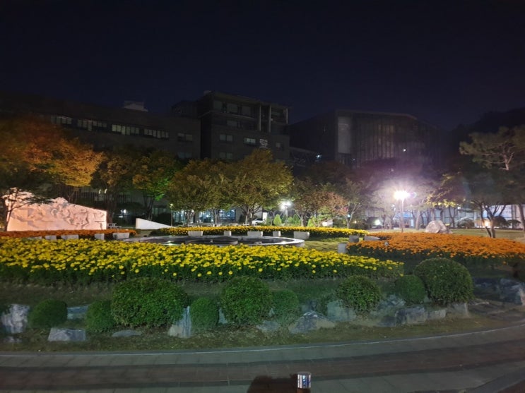  요즘  운동하기 좋네요~