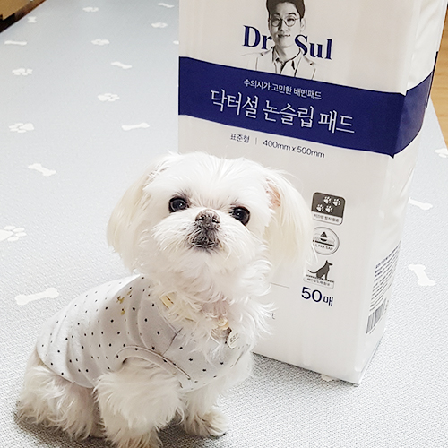  핏펫 닥터설논슬립 강아지배변패드 사용기