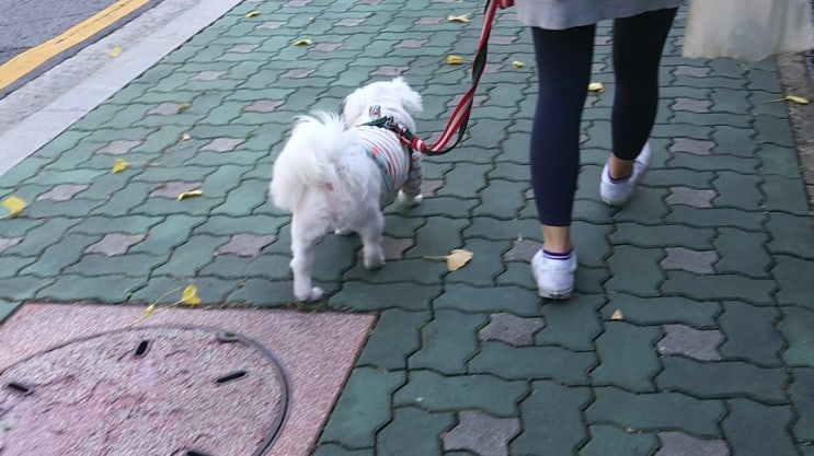  바람 불어 좋은 날