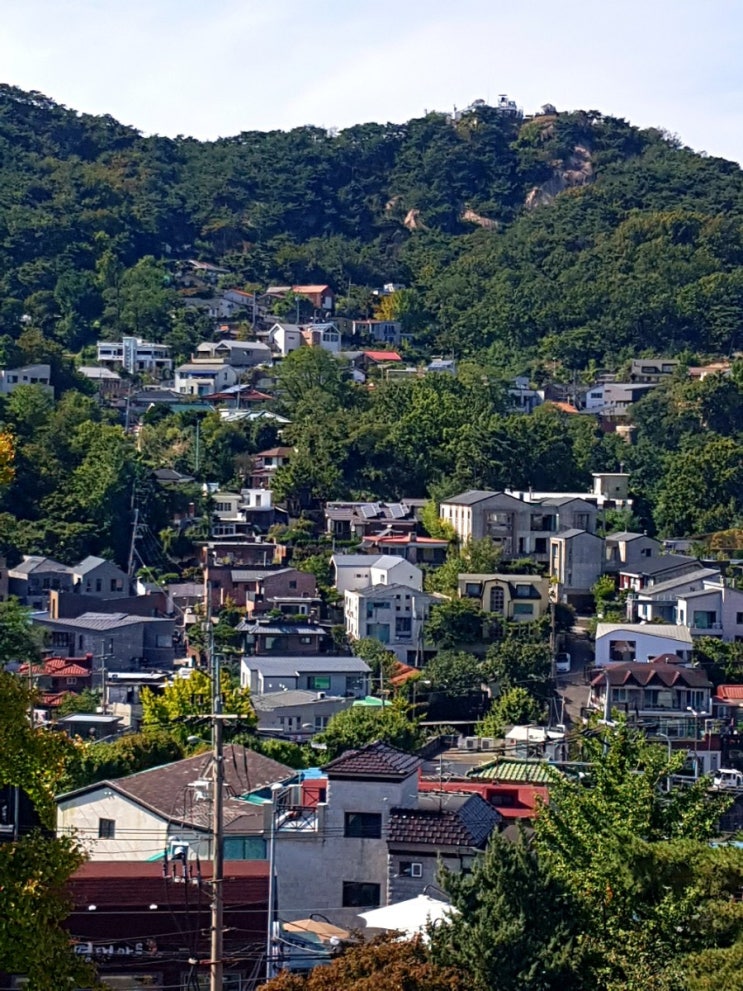  야 참