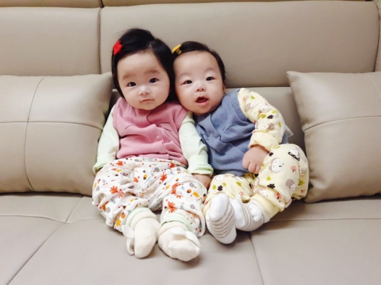  [쌍둥이 육아 일기] 쌍둥이 육아(생후 205일~219일, 교정 155일~169일) / 교정 5개월 아기 / 생후 7개월 아기
