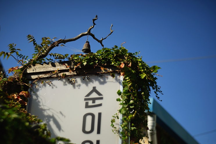  순이의 정원