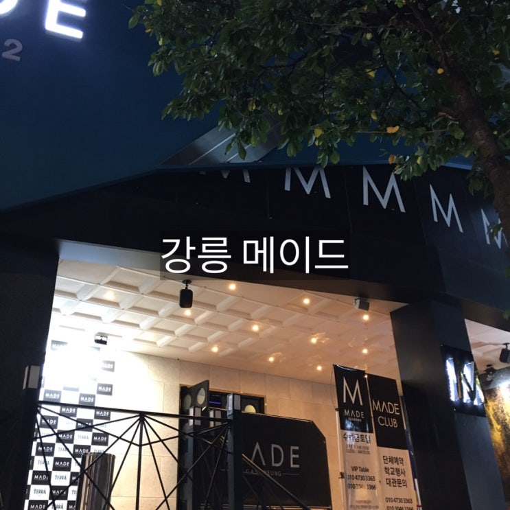 강릉 경포대 클럽 헌팅술집 감주 메이드 시즌2