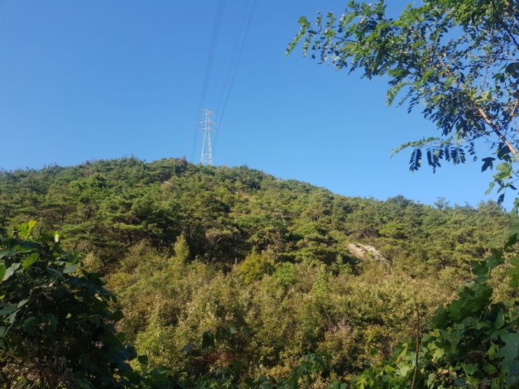  오랜만에 산책^^