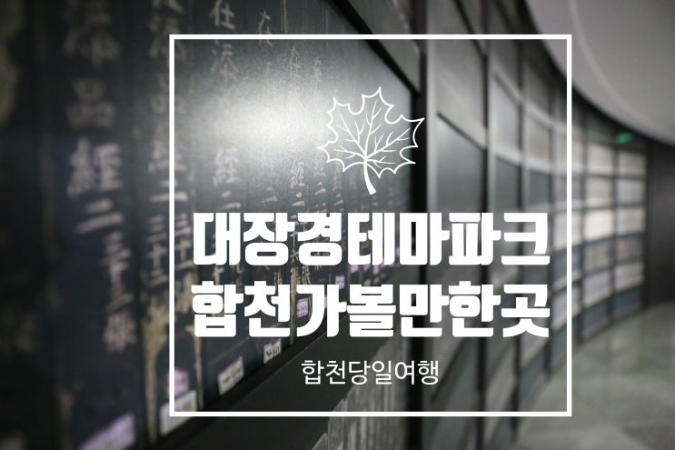  합천 아이들과 가볼만한곳 대장경테마파크 힐링지로 인정!