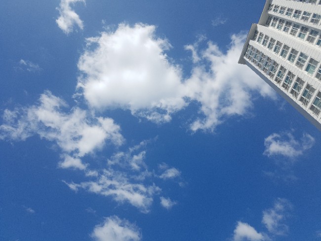  운수 좋은날{복고양이야~ 복을 불러다주렴}