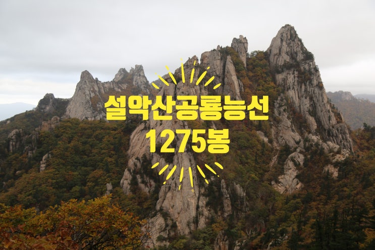  설악산 가을 단풍 구경 소공원 원점 산행 등산코스 비선대~마등령삼거리~공룡능선~1275봉~희운각~천불동계곡~소공원