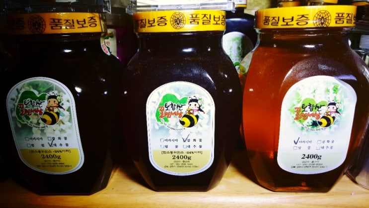  토함산꿀벌세상에서 경주소상공인SNS공부방 열다