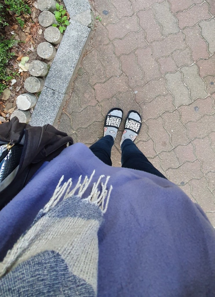  보통의 일요일 일상