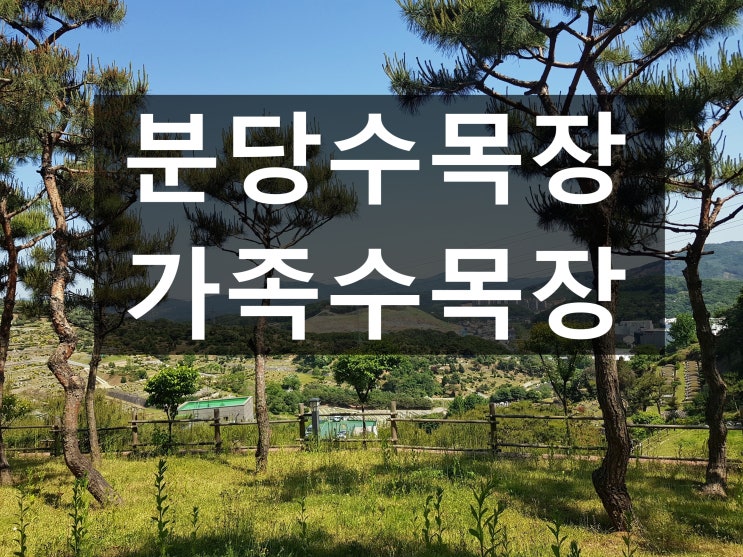  분당수목장 가족목으로 적당한가요?