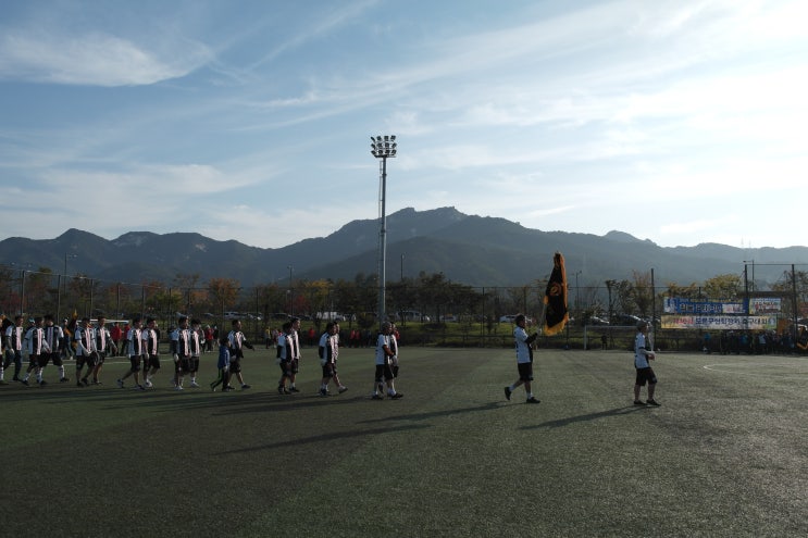  테니스, 체조, 축구, 태권도, 농구,... 분주함의 끝판