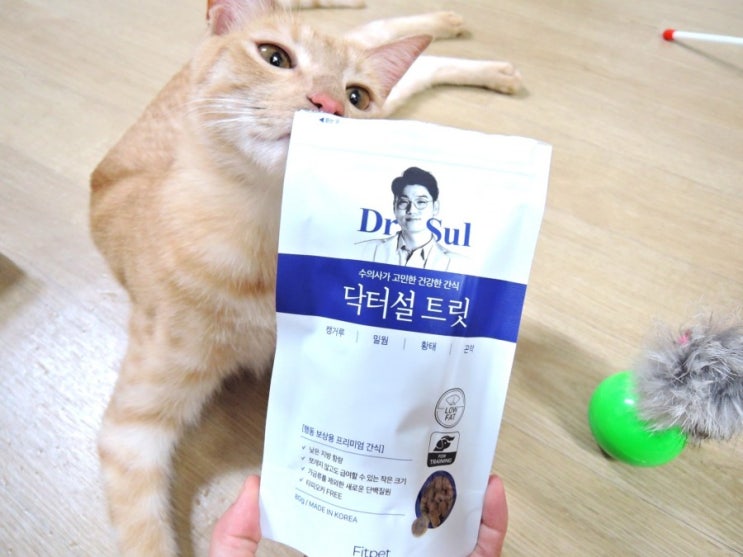  핏펫몰 닥터설트릿 고양이간식 교육용으로 굿