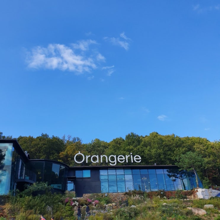  경기도 양주 오랑주리(Orangerie) 식물원 카페에서 데이트 @